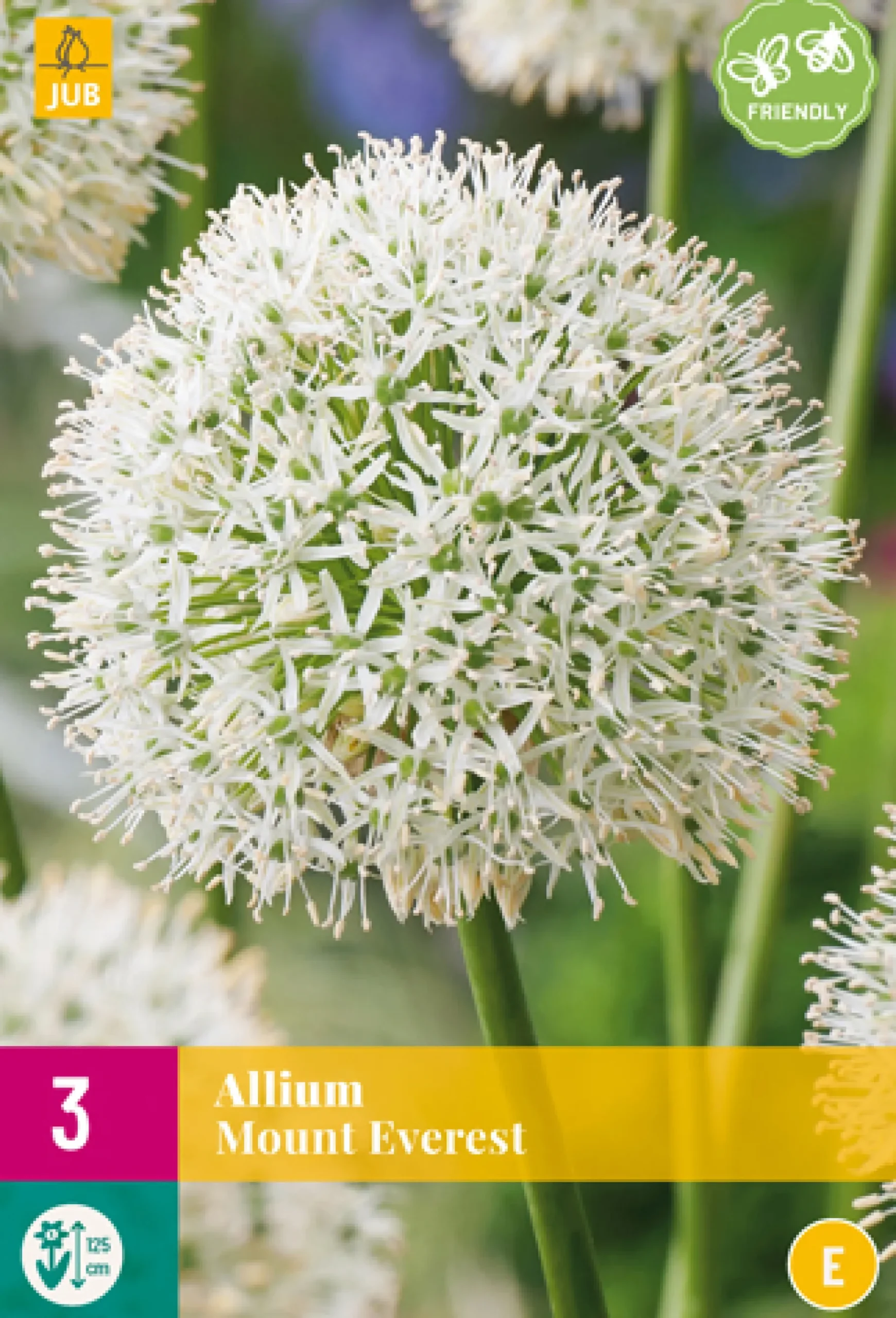 ohgreen 3 allium mount everest