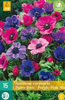 ohgreen 15 bloembollen anemone coronaria paars-roze mix
