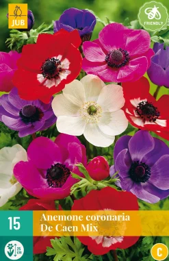 ohgreen 15 bloembollen anemone coronaria de caen mix