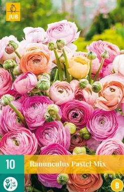 ohgreen 10 bloembollen ranunculus pastel mix