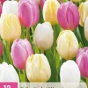 ohgreen 12 bloembollen tulipa sorbet mix