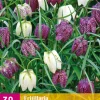 ohgreen 30 fritillaria meleagris mix