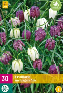 ohgreen 30 fritillaria meleagris mix