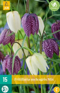 ohgreen 15 fritillaria meleagris mix