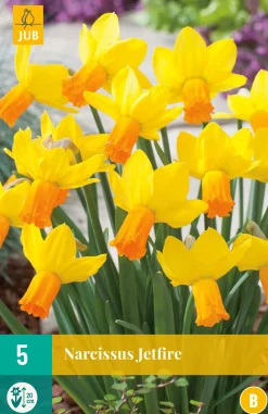 ohgreen 5 narcissus jetfire