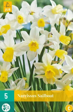 ohgreen 5 narcissus sailboat