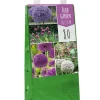 ohgreen 1 tas met 80 bollen bulb garden allium