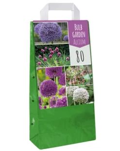 ohgreen 1 tas met 80 bollen bulb garden allium