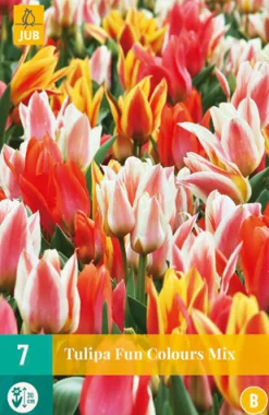 ohgreen 7 tulipa fun colours