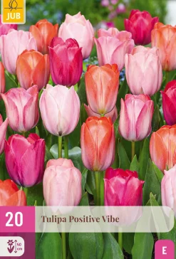 ohgreen 20 tulipa positive vibe