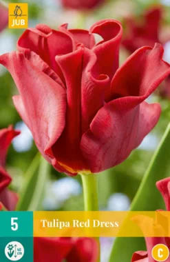 ohgreen 5 tulipa red dress