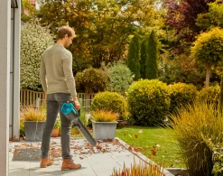 ohgreen Accubladblazer PowerJet 18V P4A set