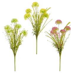 ohgreen Allium d. - l53cm