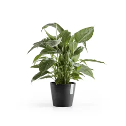 ohgreen Amsterdam 20cm donkergrijs met waterreservoir