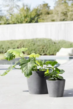 ohgreen Amsterdam 20cm grijs met waterreservoir