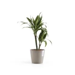 ohgreen Amsterdam 20cm taupe met waterreservoir