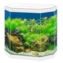 ohgreen Aquarium aqua 30 led
