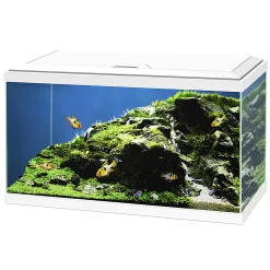 ohgreen Aquarium aqua 60 led bio cf150