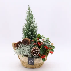 ohgreen Arrangement Gaultheria creatie