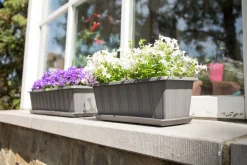 ohgreen Balkonbak Super 50 cm Antraciet