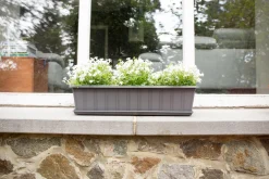 ohgreen Balkonbak Super 50 cm Antraciet