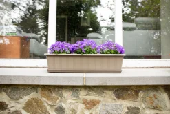 ohgreen Balkonbak Super 50 cm Taupe