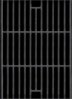 ohgreen Barbecue grillrooster voor Carbone