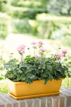 ohgreen Barcelona balkonbak schotel