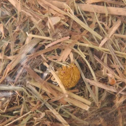 ohgreen Berghooi met kamille 500gr.