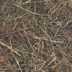 ohgreen Berghooi met munt 500gr.