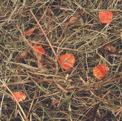 ohgreen Berghooi met wortel 500gr.