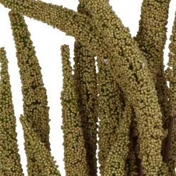 ohgreen Bessentak piepschuim beige 77cm