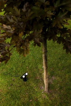 ohgreen Bingo solar prikspot