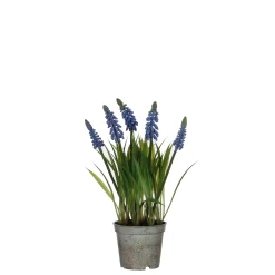 ohgreen Blauw druifje dans un pot plastique blauw - h27xd8,5cm