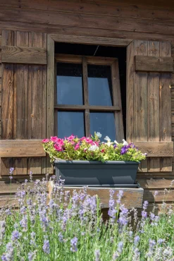 ohgreen Bloembak relax 60cm antraciet