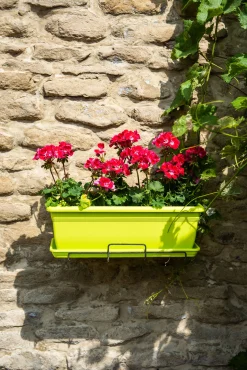 ohgreen Bloembak relax 50x20h16 lime