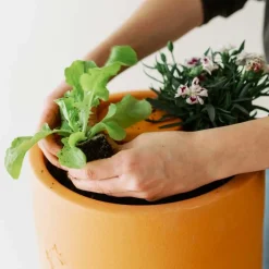 ohgreen Bloemen composter 2 lagen
