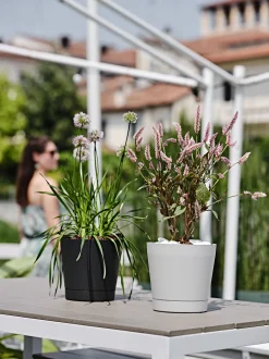 ohgreen Bloempot Orione 24cm bosgroen