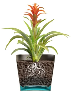 ohgreen Bloempot Orione 24cm bosgroen