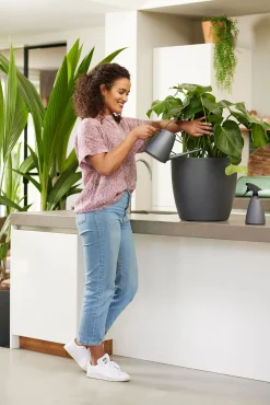 ohgreen Bloemspuit 0,7l