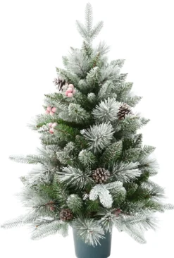 ohgreen Boom in pot 58 x 90cm