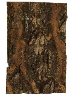 ohgreen Boomschors kurk 12x18cm