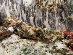 ohgreen Boomschors kurk 12x18cm