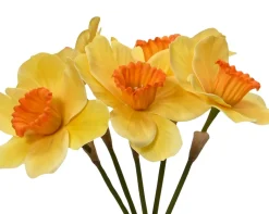 ohgreen Bundel op steel