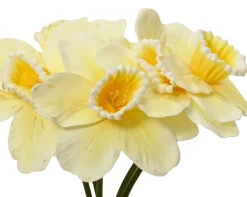 ohgreen Bundel op steel