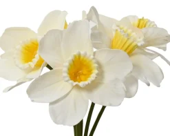 ohgreen Bundel op steel