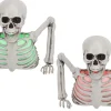 ohgreen Buste skeleton