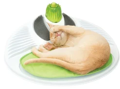 ohgreen Ca 2.0 wellness center