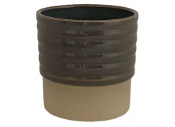 ohgreen Cellos pot dusty