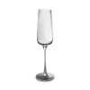 ohgreen Champagneglas 24cl ray - set/4